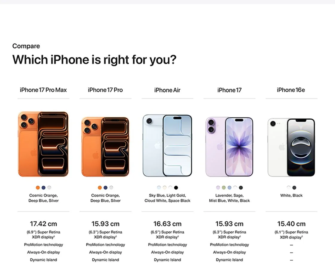 Product Showcase 8
