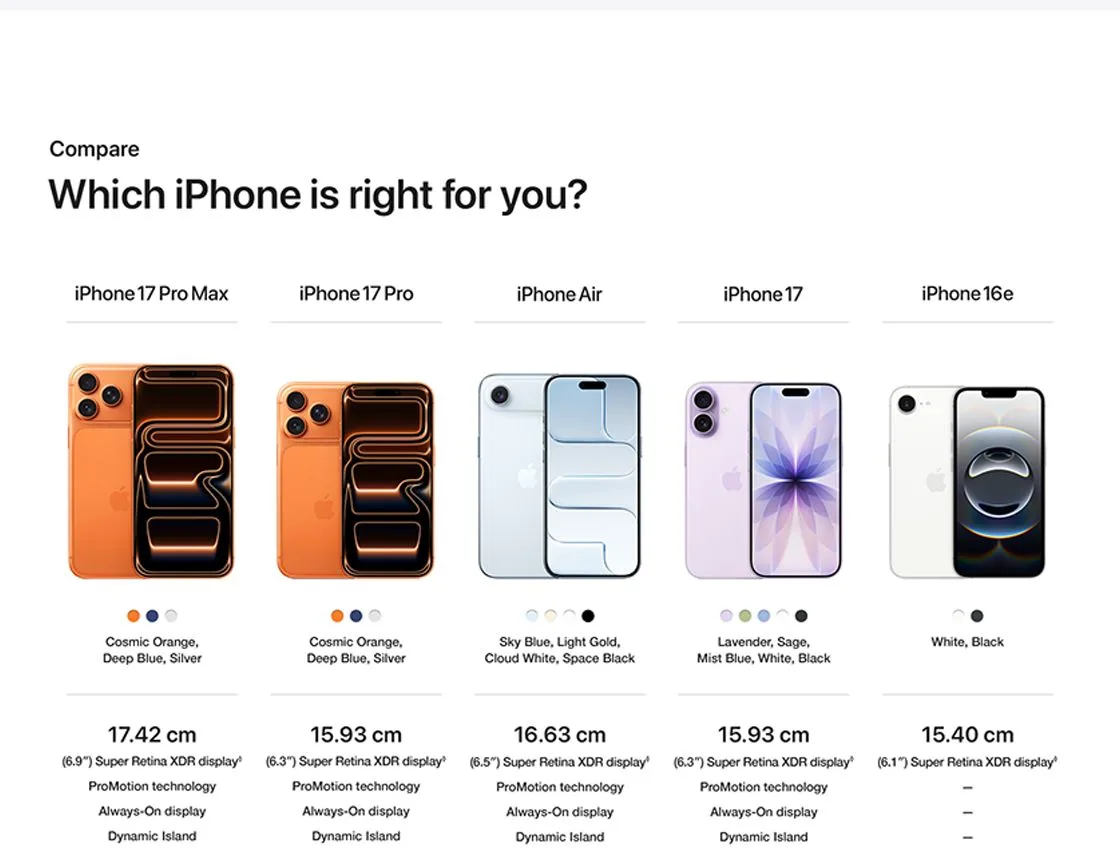 Product Showcase 5